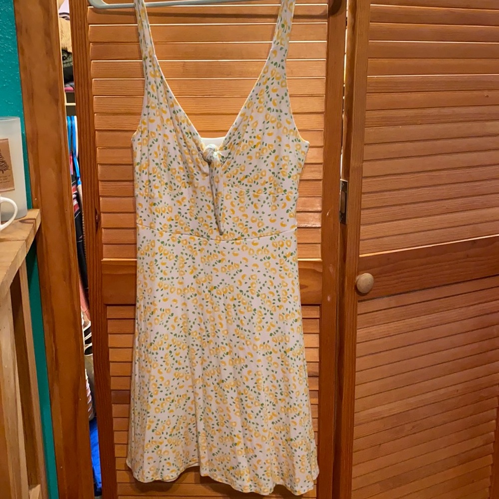 Altr’d State summer dress